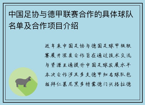 中国足协与德甲联赛合作的具体球队名单及合作项目介绍